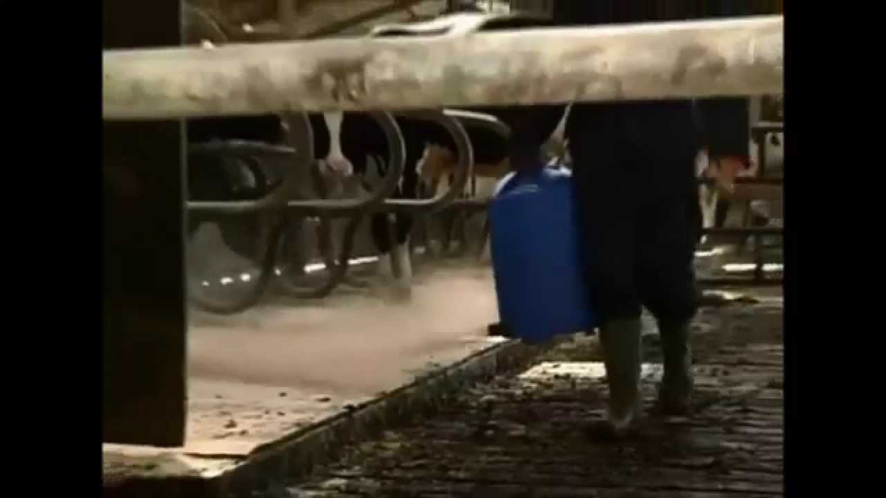 Vink Pulververteiler, 12 l, für Akkuschrauber