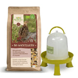 Wachtel-Starter-Set